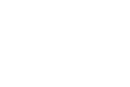 Sand Dollar Award Winner